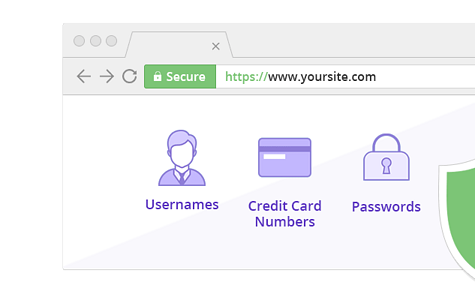 Cài đặt SSL miễn phí hay trả phí cho WordPress