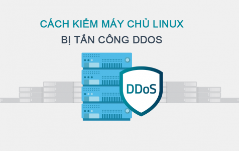Cách kiểm tra máy chủ Linux bị tấn công DDoS