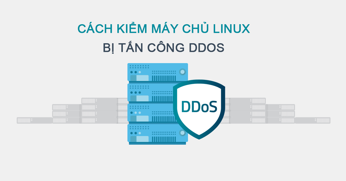 Cách kiểm tra máy chủ Linux bị tấn công DDoS