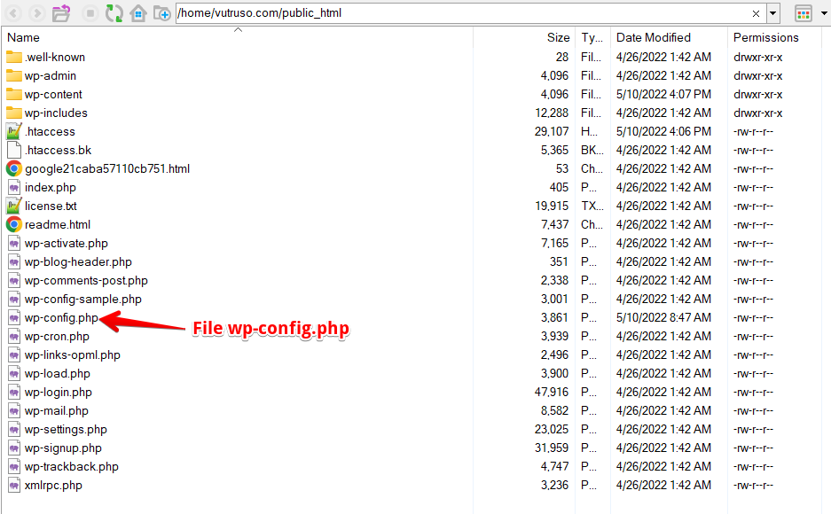 file wp config