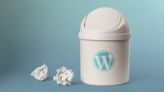 Hướng Dẫn Chặn Tự Động Xóa Bài Viết Trong Thùng Rác WordPress