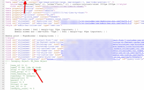 Fix lỗi sai tiêu đề trong category khi sử dụng plugin Slim SEO