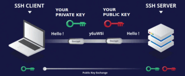 SSH key là gì? Cách thiết lập SSH key cho VPS Linux