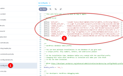 Tìm hiểu về WordPress Salts trong wp-config.php